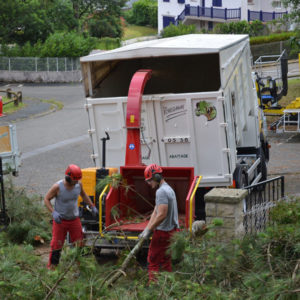 Broyage des branches en Pyrénées Atlantique 64 et Landes 40 841 - ECHEGARAY Ñaño élagage