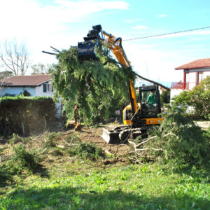 Abattage mécanique en Pyrénées Atlantique 64 et Landes 40 110 - ECHEGARAY Ñaño élagage