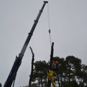 Abattage par démontage à la nacelle et grue en Pyrénées Atlantique 64 et Landes 40 990 - ECHEGARAY Ñaño élagage