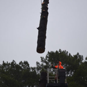 Abattage par démontage à la nacelle et grue en Pyrénées Atlantique 64 et Landes 40 992-2 - ECHEGARAY Ñaño élagage