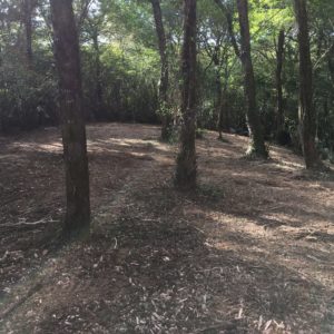 Débroussaillage Pyrénées Atlantique 64 118 - ECHEGARAY Ñaño élagage