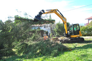 Abattage mécanique en Pyrénées Atlantique 64 et Landes 40 95 - ECHEGARAY Ñaño élagage