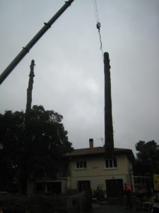 Abattage par démontage à la nacelle et grue en Pyrénées Atlantique 64 et Landes 40 2280 - ECHEGARAY Ñaño élagage