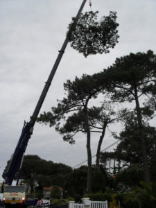 Abattage par démontage à la nacelle et grue en Pyrénées Atlantique 64 et Landes 40 4181 - ECHEGARAY Ñaño élagage