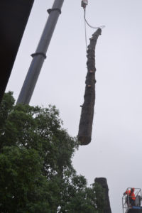 Abattage par démontage à la nacelle et grue en Pyrénées Atlantique 64 et Landes 40 973 - ECHEGARAY Ñaño élagage
