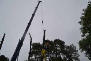 Abattage par démontage à la nacelle et grue en Pyrénées Atlantique 64 et Landes 40 990 - ECHEGARAY Ñaño élagage
