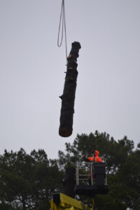 Abattage par démontage à la nacelle et grue en Pyrénées Atlantique 64 et Landes 40 992 - ECHEGARAY Ñaño élagage