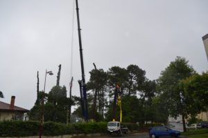 Abattage par démontage à la nacelle et grue en Pyrénées Atlantique 64 et Landes 40 993-2 - ECHEGARAY Ñaño élagage