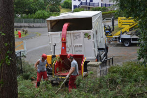 Broyage des branches en Pyrénées Atlantique 64 et Landes 40 2296-2 - ECHEGARAY Ñaño élagage