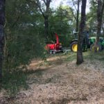 Débroussaillage Pyrénées Atlantique 64 100 - ECHEGARAY Ñaño élagage