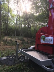 Débroussaillage Pyrénées Atlantique 64 103 - ECHEGARAY Ñaño élagage