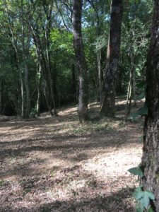 Débroussaillage Pyrénées Atlantique 64 107 - ECHEGARAY Ñaño élagage