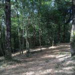 Débroussaillage Pyrénées Atlantique 64 110 - ECHEGARAY Ñaño élagage