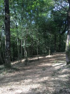 Débroussaillage Pyrénées Atlantique 64 110 - ECHEGARAY Ñaño élagage