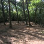 Débroussaillage Pyrénées Atlantique 64 112 - ECHEGARAY Ñaño élagage