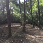 Débroussaillage Pyrénées Atlantique 64 118 - ECHEGARAY Ñaño élagage