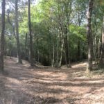 Débroussaillage Pyrénées Atlantique 64 120 - ECHEGARAY Ñaño élagage