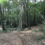 Débroussaillage Pyrénées Atlantique 64 98 - ECHEGARAY Ñaño élagage