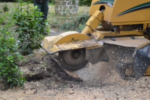 Grignotage ou rognage des souches en Pyrénées Atlantique 64 et Landes 40 69 - ECHEGARAY Ñaño élagage