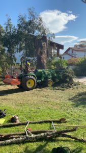 Elagage et abattage de grands arbres dans les Landes et le Pays basque
