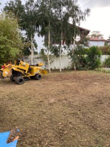 Abattage, élagage d'arbres et espaces verts au Pays basque et Sud Landes