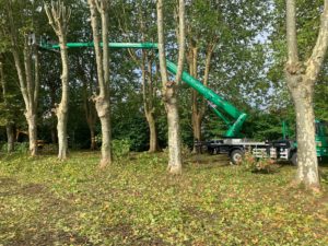 Abattage, élagage d'arbres avec une nacelle au Pays basque et Sud Landes