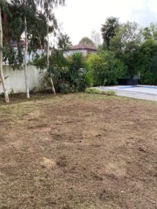 Abattage, élagage d'arbres et entretien des espaces verts au Pays basque et Sud Landes