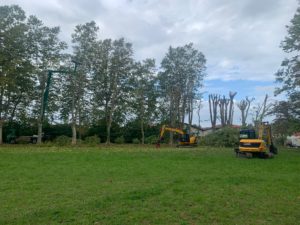Abattage, élagage d'arbres et travaux forestiers au Pays basque et Sud Landes
