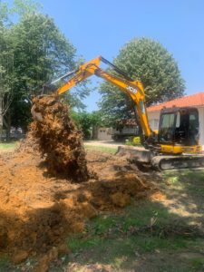 Abattage, dessouchage, débroussaillage, entretien des espaces verts au Pays basque et Sud Landes