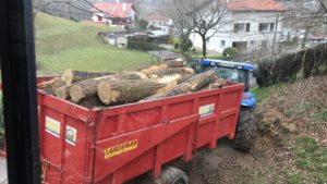 Abattage, élagage d'arbres et travaux forestiers au Pays basque et Sud Landes