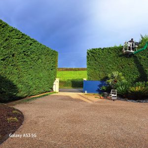 Haie taillée au cordeau le long d’une allée gravillonnée, entretien de jardin au Pays basque